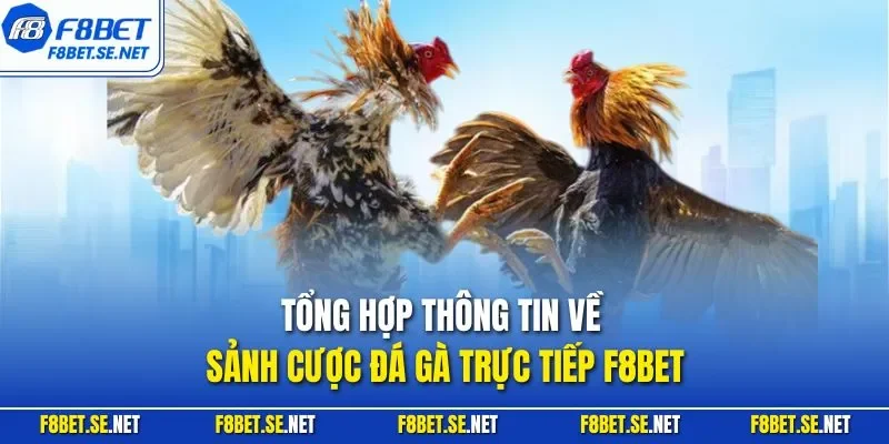Tổng hợp thông tin về sảnh cược đá gà trực tiếp F8BET